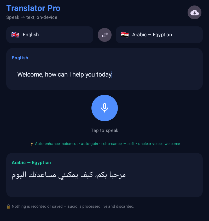 Translator Pro